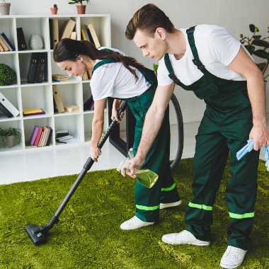 cleaner-6-cleaning-lady-is-holding-rags-and-detergent-for-cl-2022-01-27-23-47-51-utc-1-6 Aceituna colgando de un olivar